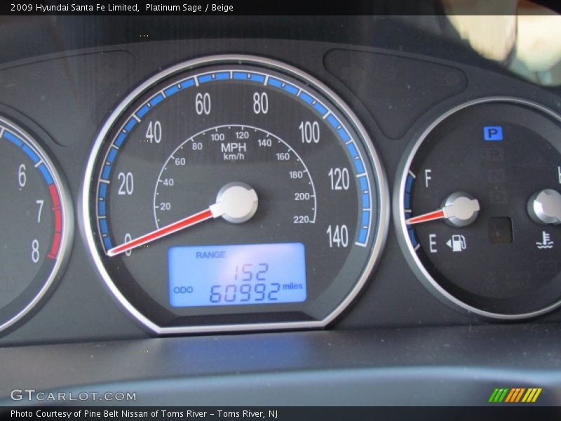 Platinum Sage / Beige 2009 Hyundai Santa Fe Limited