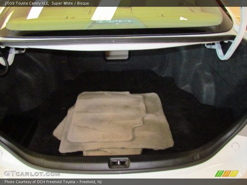 Super White / Bisque 2009 Toyota Camry XLE
