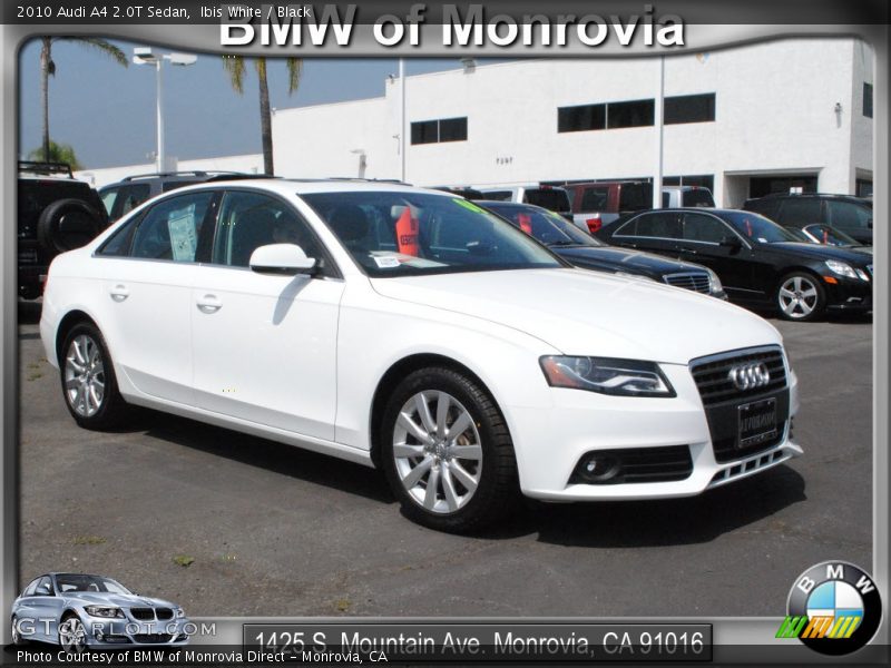 Ibis White / Black 2010 Audi A4 2.0T Sedan