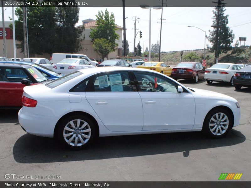 Ibis White / Black 2010 Audi A4 2.0T Sedan