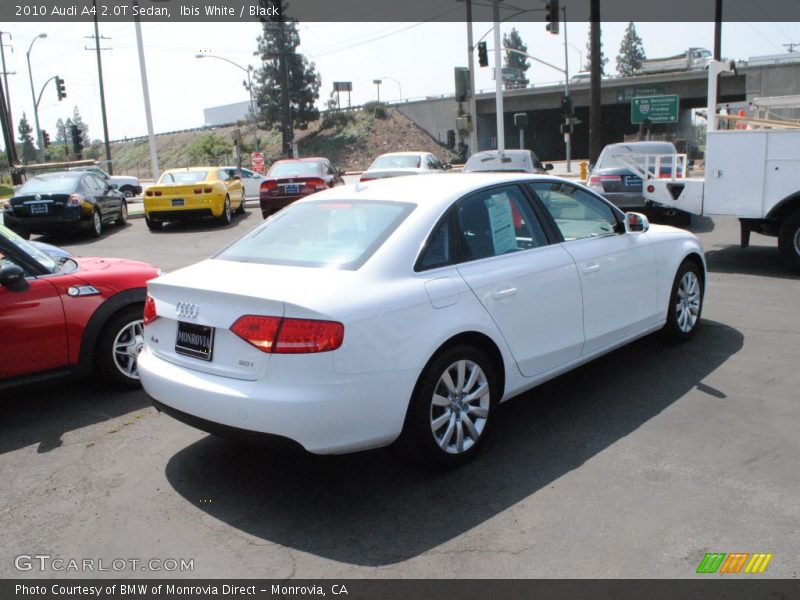 Ibis White / Black 2010 Audi A4 2.0T Sedan