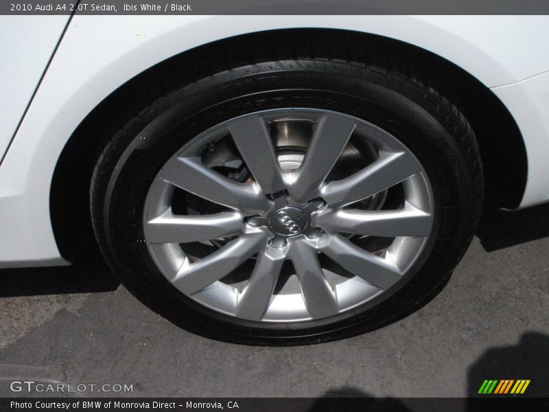Ibis White / Black 2010 Audi A4 2.0T Sedan