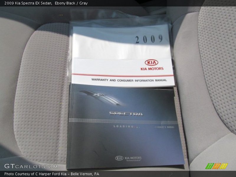 Ebony Black / Gray 2009 Kia Spectra EX Sedan