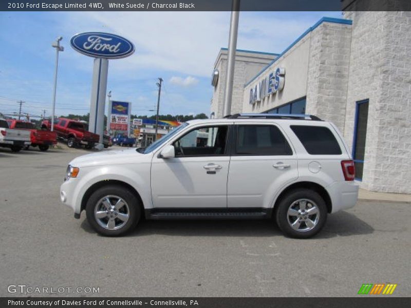 White Suede / Charcoal Black 2010 Ford Escape Limited 4WD