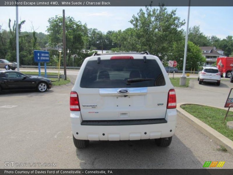 White Suede / Charcoal Black 2010 Ford Escape Limited 4WD