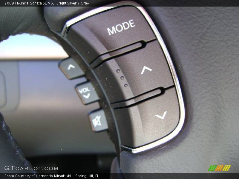 Bright Silver / Gray 2009 Hyundai Sonata SE V6