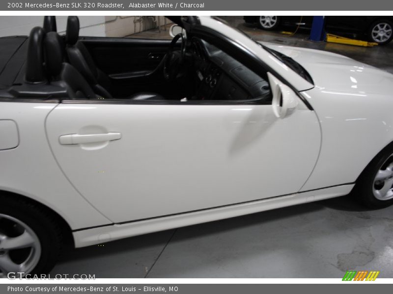 Alabaster White / Charcoal 2002 Mercedes-Benz SLK 320 Roadster