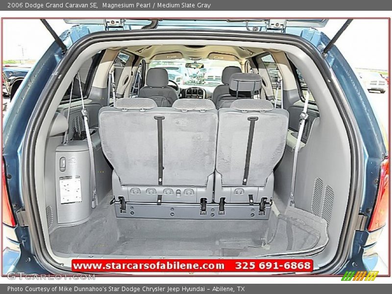 Magnesium Pearl / Medium Slate Gray 2006 Dodge Grand Caravan SE