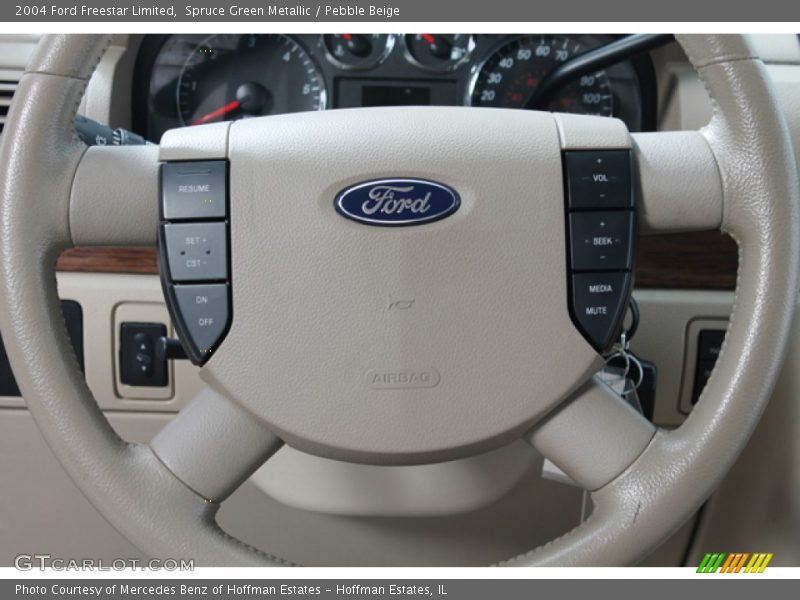 Spruce Green Metallic / Pebble Beige 2004 Ford Freestar Limited