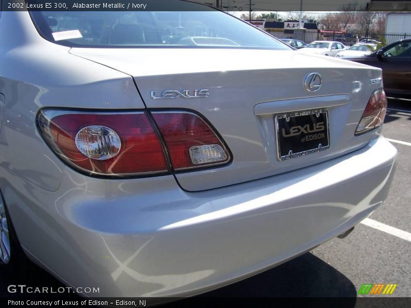 Alabaster Metallic / Ivory 2002 Lexus ES 300