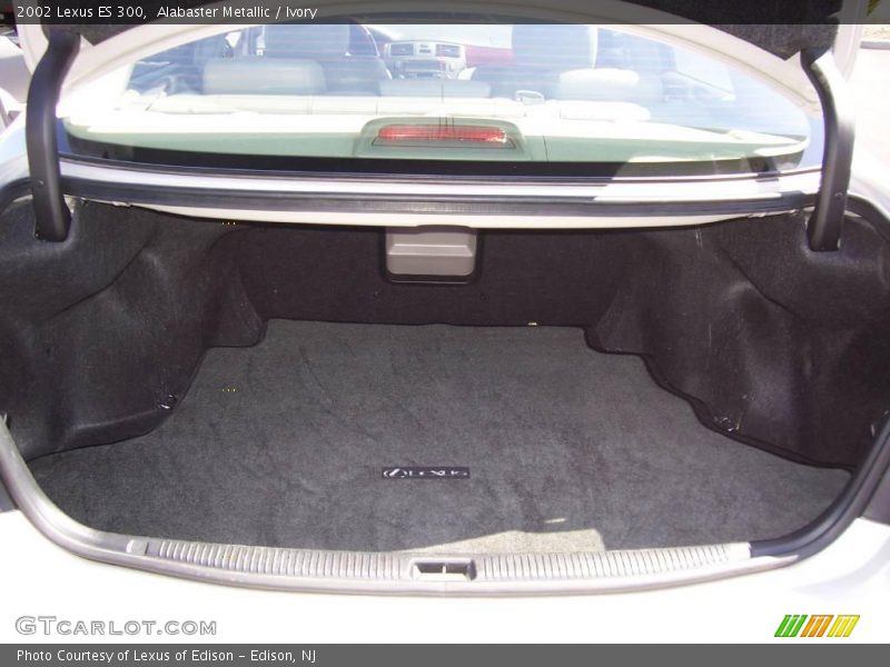 Alabaster Metallic / Ivory 2002 Lexus ES 300