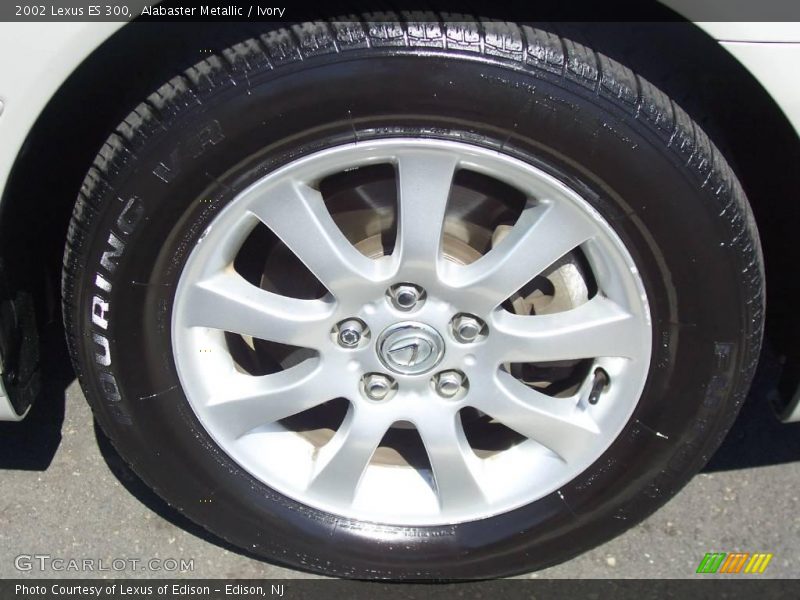 Alabaster Metallic / Ivory 2002 Lexus ES 300