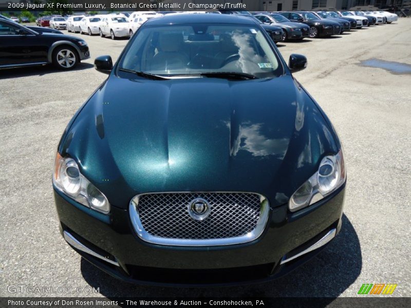 Botanical Green Metallic / Champagne/Truffle 2009 Jaguar XF Premium Luxury