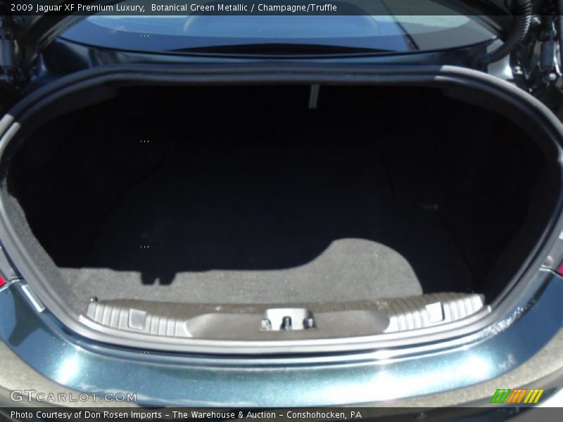 Botanical Green Metallic / Champagne/Truffle 2009 Jaguar XF Premium Luxury
