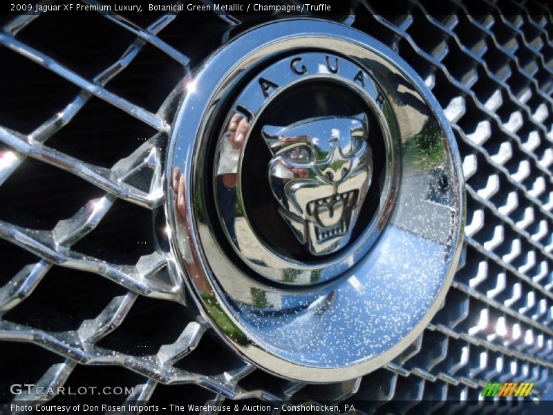 Botanical Green Metallic / Champagne/Truffle 2009 Jaguar XF Premium Luxury