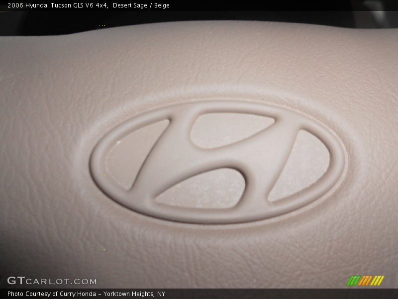 Desert Sage / Beige 2006 Hyundai Tucson GLS V6 4x4