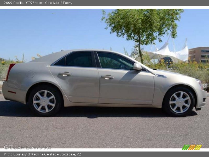 Gold Mist / Ebony 2009 Cadillac CTS Sedan