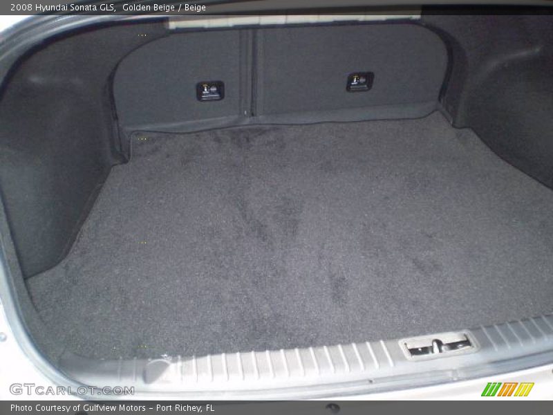 Golden Beige / Beige 2008 Hyundai Sonata GLS