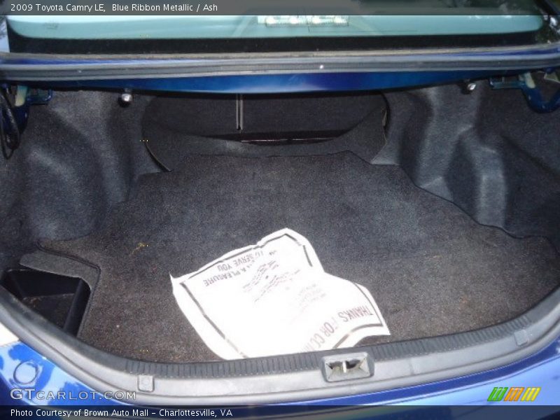 Blue Ribbon Metallic / Ash 2009 Toyota Camry LE