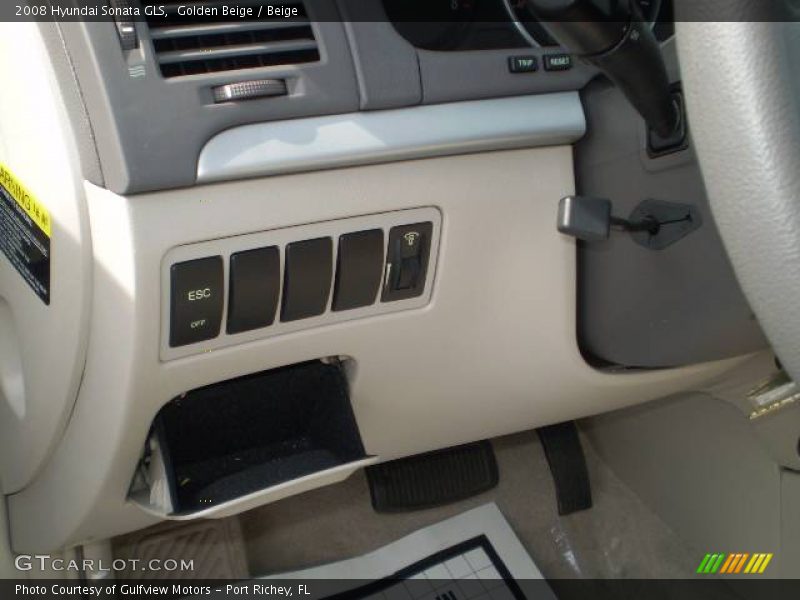 Golden Beige / Beige 2008 Hyundai Sonata GLS
