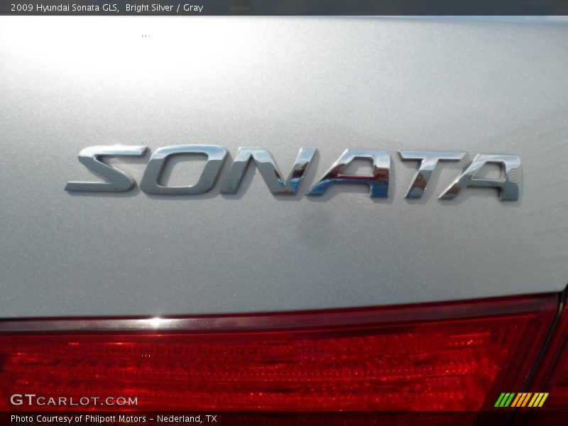 Bright Silver / Gray 2009 Hyundai Sonata GLS