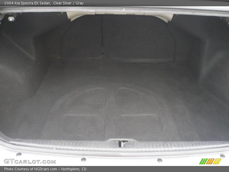 Clear Silver / Gray 2004 Kia Spectra EX Sedan