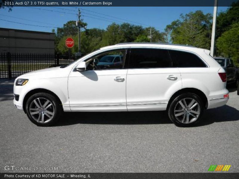 Ibis White / Cardamom Beige 2011 Audi Q7 3.0 TFSI quattro