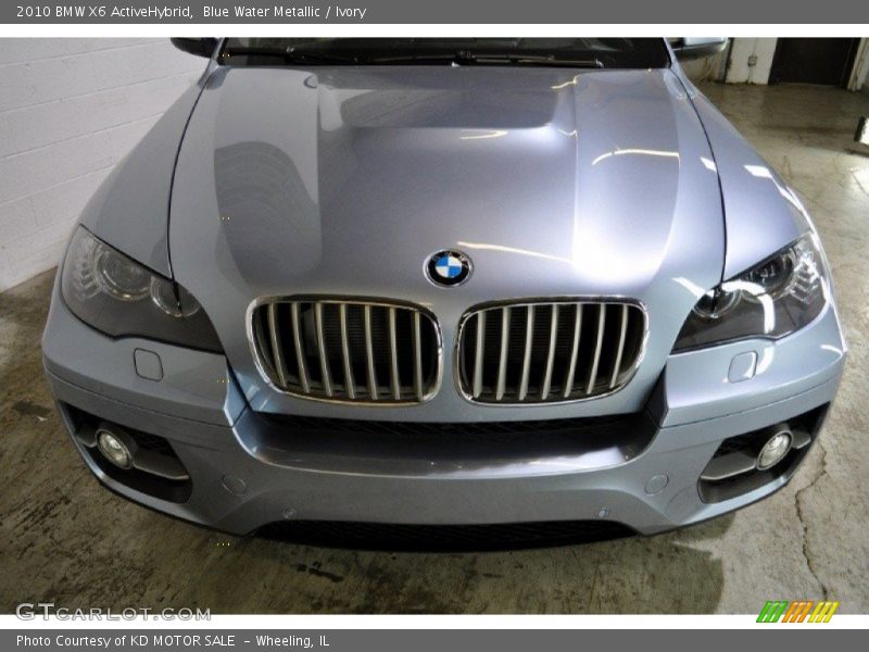 Blue Water Metallic / Ivory 2010 BMW X6 ActiveHybrid