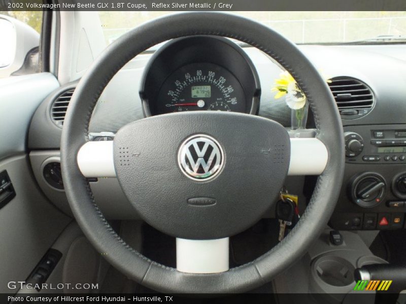 Reflex Silver Metallic / Grey 2002 Volkswagen New Beetle GLX 1.8T Coupe
