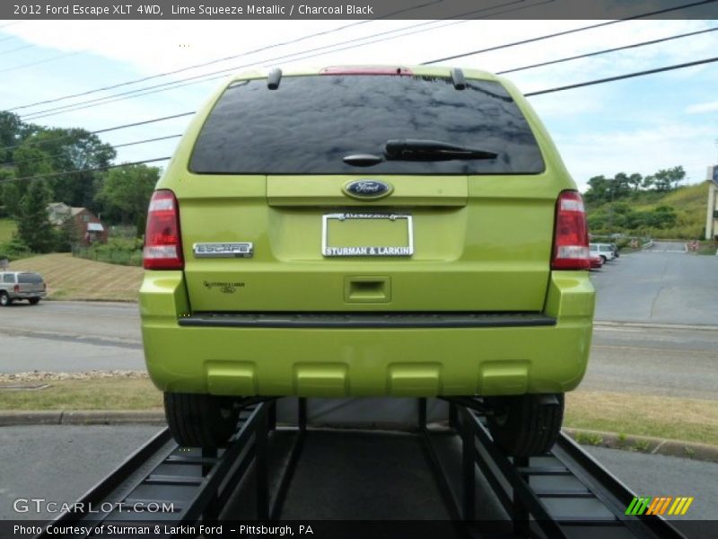 Lime Squeeze Metallic / Charcoal Black 2012 Ford Escape XLT 4WD