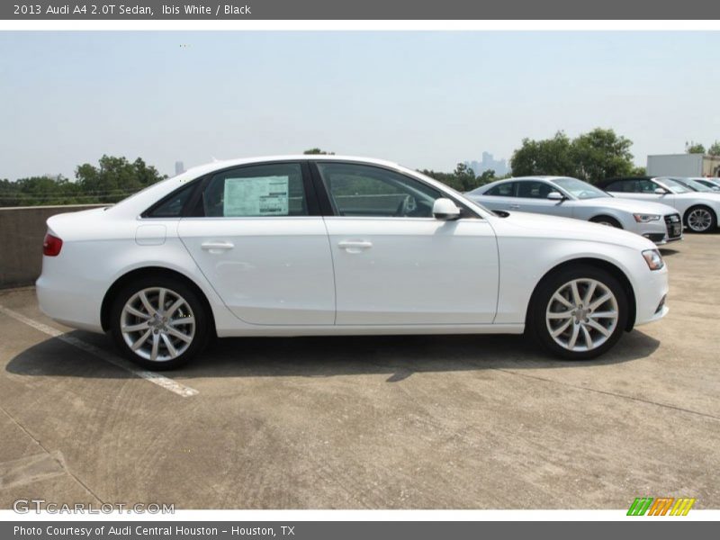Ibis White / Black 2013 Audi A4 2.0T Sedan
