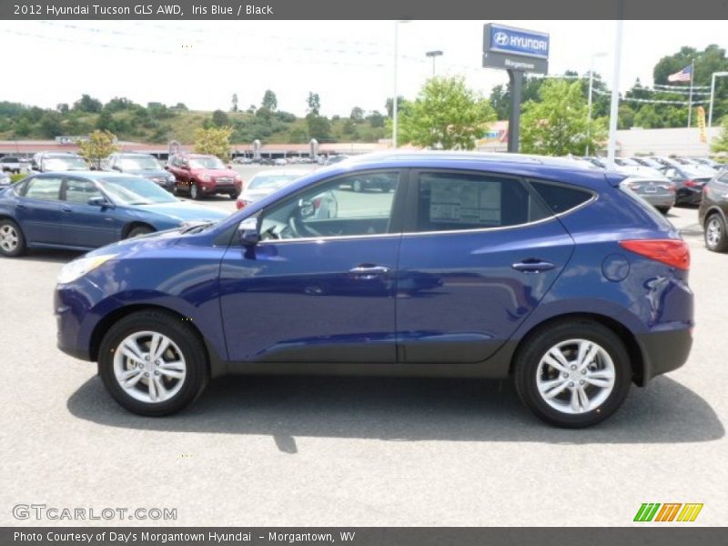 Iris Blue / Black 2012 Hyundai Tucson GLS AWD