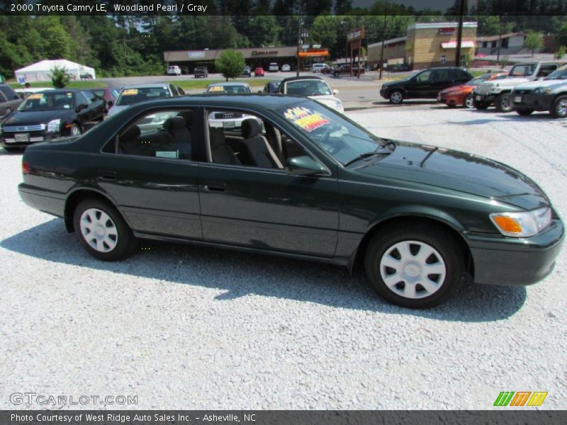 Woodland Pearl / Gray 2000 Toyota Camry LE