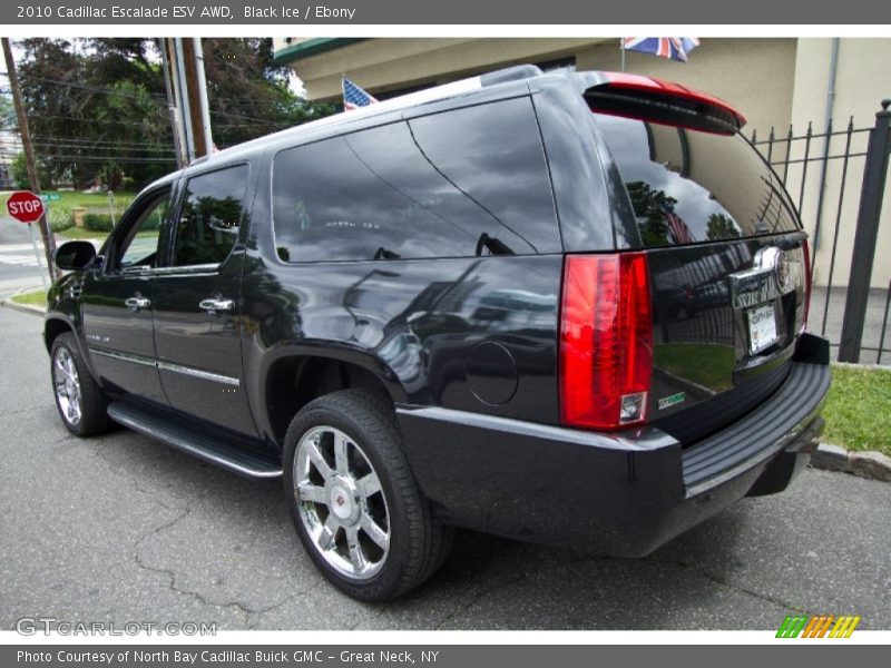 Black Ice / Ebony 2010 Cadillac Escalade ESV AWD