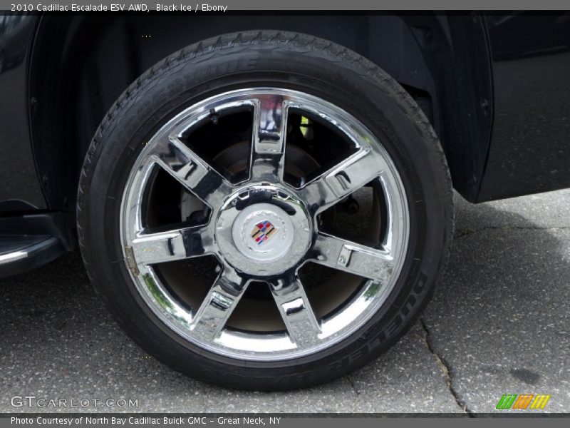 Black Ice / Ebony 2010 Cadillac Escalade ESV AWD