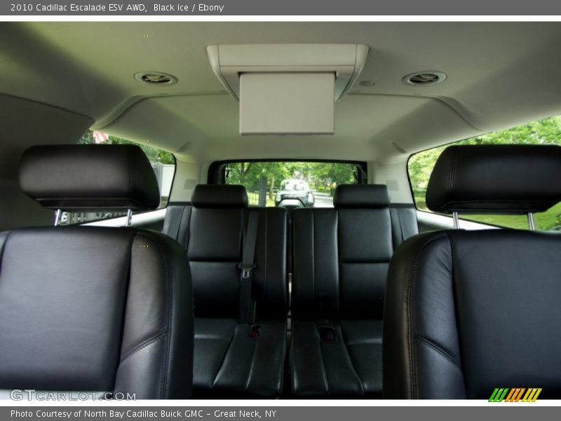 Black Ice / Ebony 2010 Cadillac Escalade ESV AWD