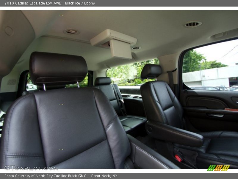 Black Ice / Ebony 2010 Cadillac Escalade ESV AWD