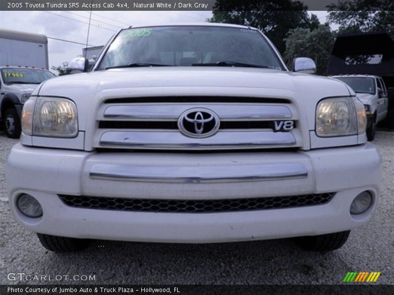 Natural White / Dark Gray 2005 Toyota Tundra SR5 Access Cab 4x4