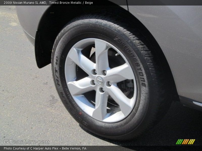 Tinted Bronze Metallic / Beige 2009 Nissan Murano SL AWD