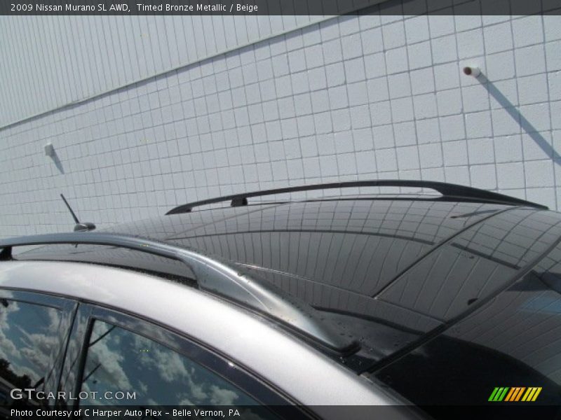 Tinted Bronze Metallic / Beige 2009 Nissan Murano SL AWD