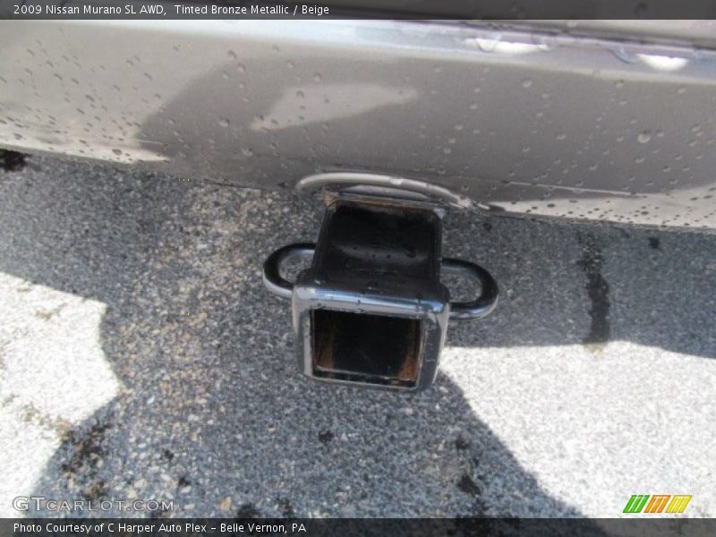 Tinted Bronze Metallic / Beige 2009 Nissan Murano SL AWD