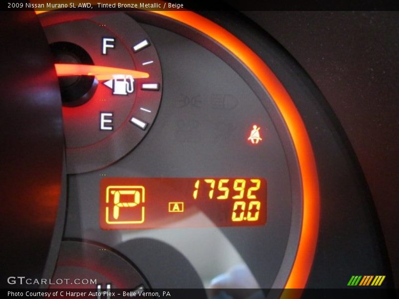 Tinted Bronze Metallic / Beige 2009 Nissan Murano SL AWD