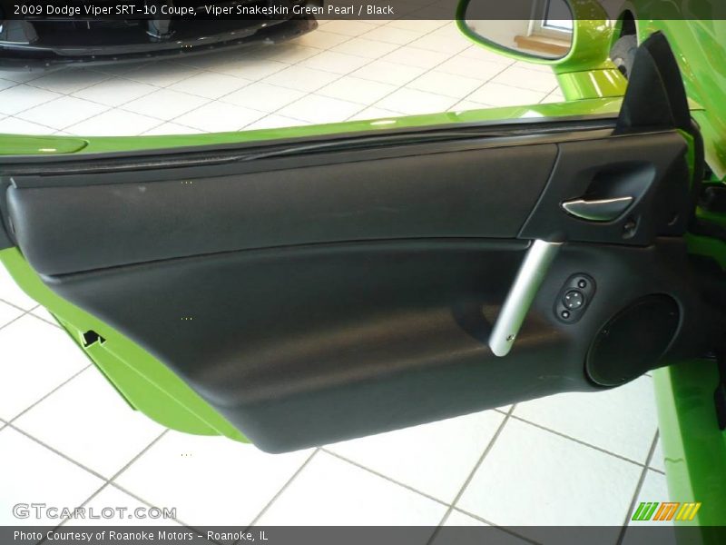 Door Panel of 2009 Viper SRT-10 Coupe