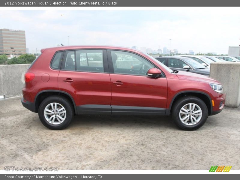Wild Cherry Metallic / Black 2012 Volkswagen Tiguan S 4Motion