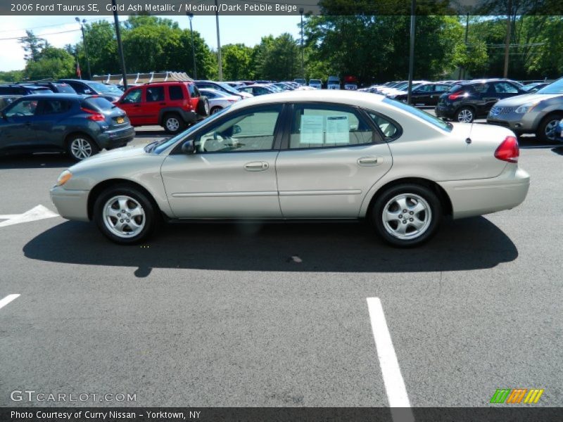 Gold Ash Metallic / Medium/Dark Pebble Beige 2006 Ford Taurus SE