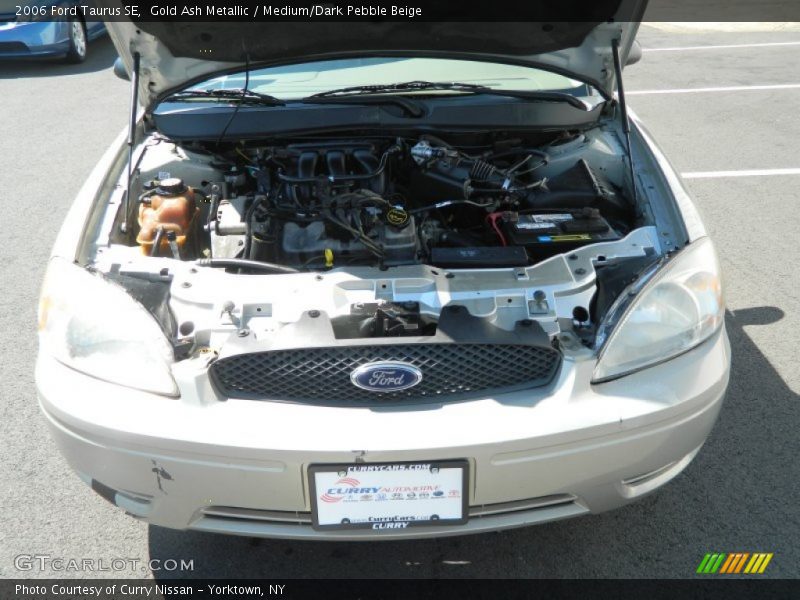 Gold Ash Metallic / Medium/Dark Pebble Beige 2006 Ford Taurus SE
