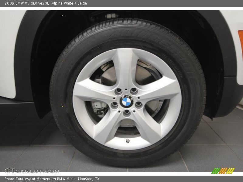 Alpine White / Beige 2009 BMW X5 xDrive30i