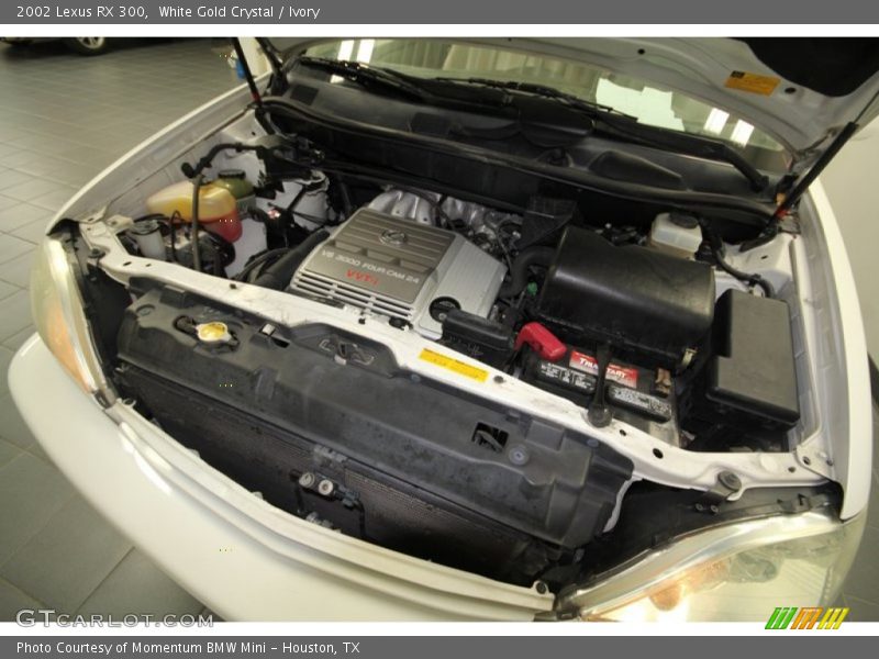 White Gold Crystal / Ivory 2002 Lexus RX 300