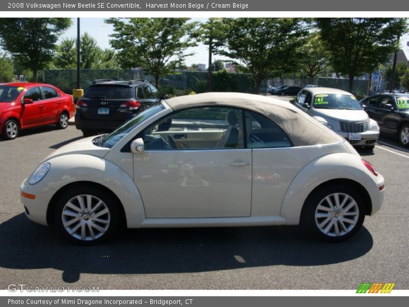 Harvest Moon Beige / Cream Beige 2008 Volkswagen New Beetle SE Convertible