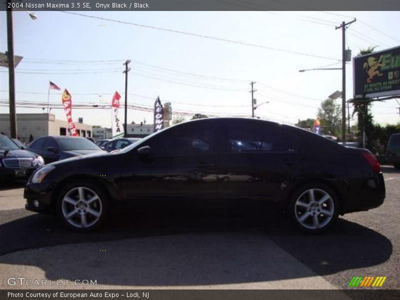 Onyx Black / Black 2004 Nissan Maxima 3.5 SE